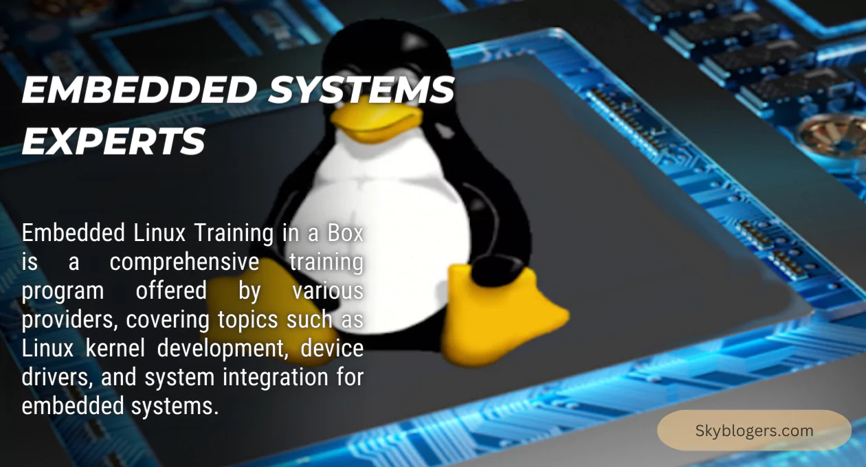 embedded systems experts