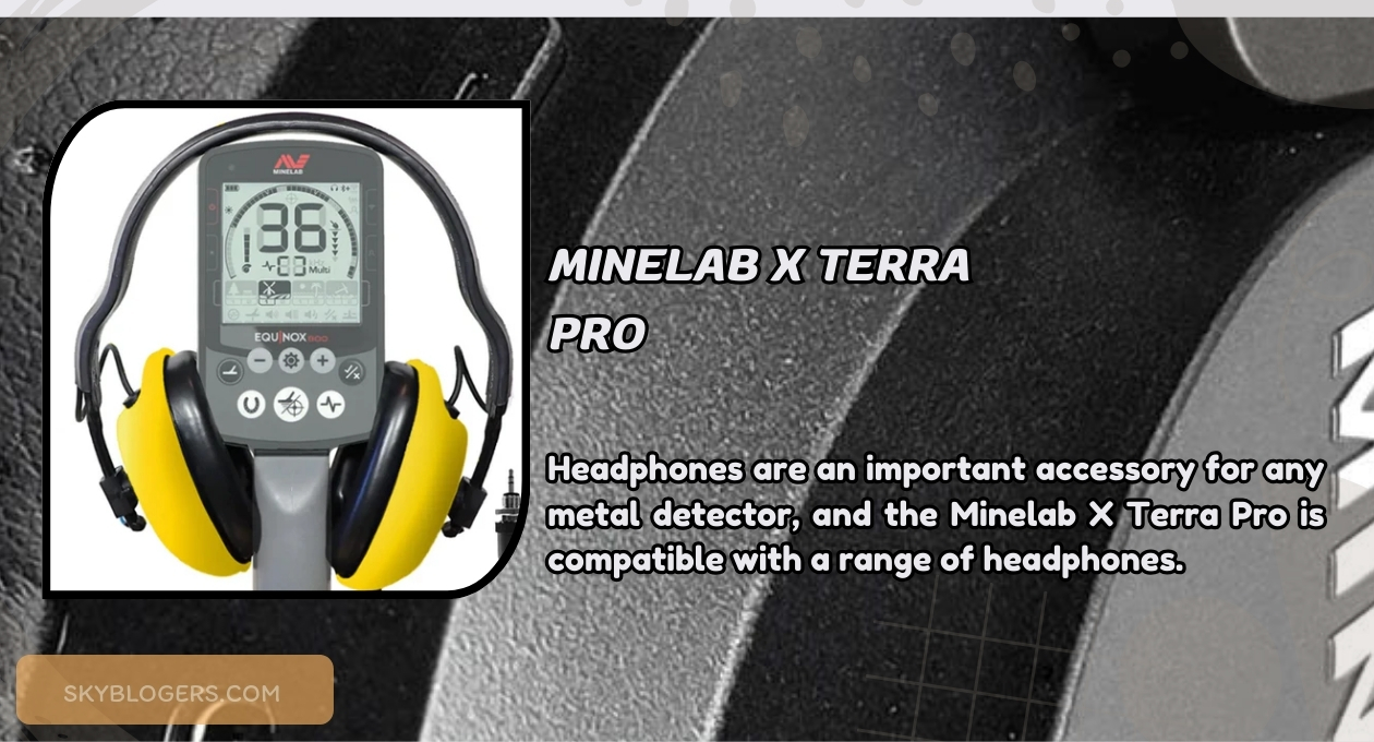 Minelab X Terra Pro